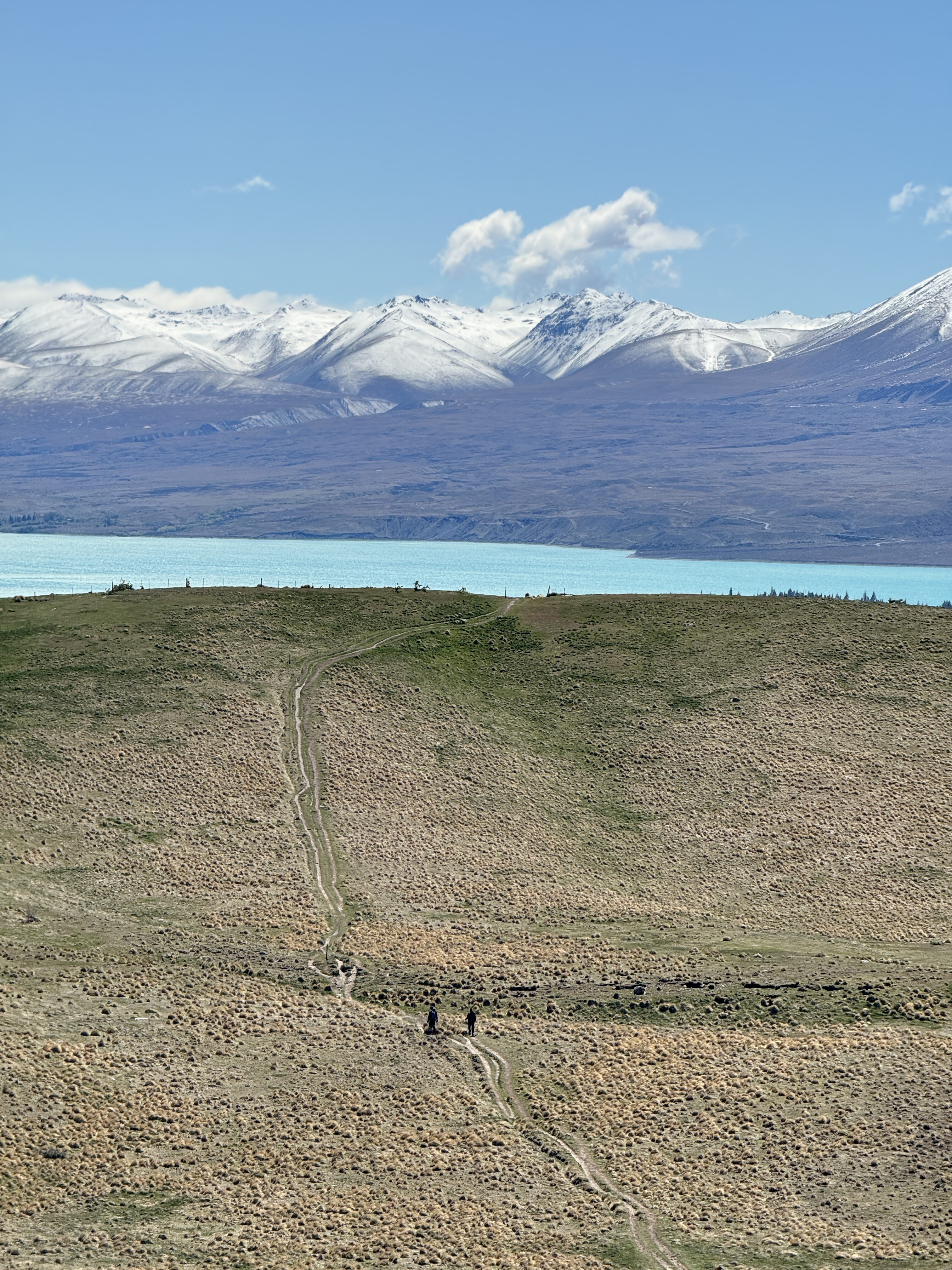 Open Trip South Island 1–8 April 2026